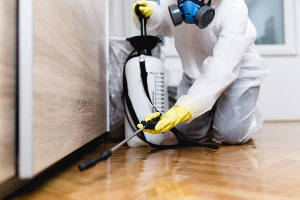 Best Mosquito Control Services  in Springfield, CO