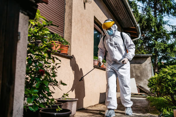 Best Termite Control Services  in Springfield, CO