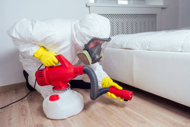 Professional Pest Control in Springfield, CO