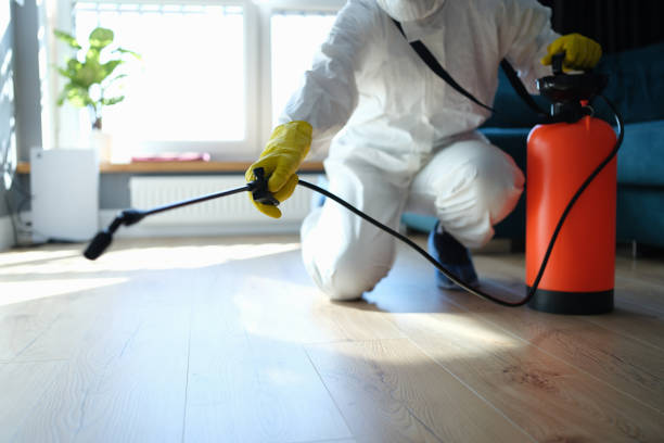 Best Best Pest Control Companies  in Springfield, CO