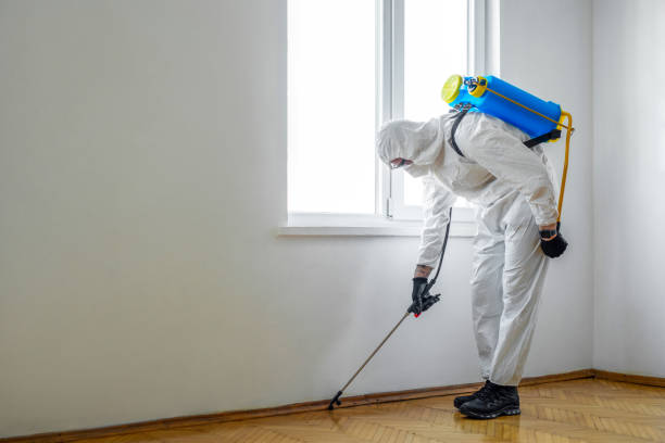 Best Pest Control Near Me  in Springfield, CO