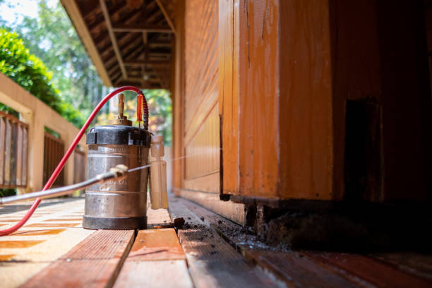 Best Pest Removal Services  in Springfield, CO