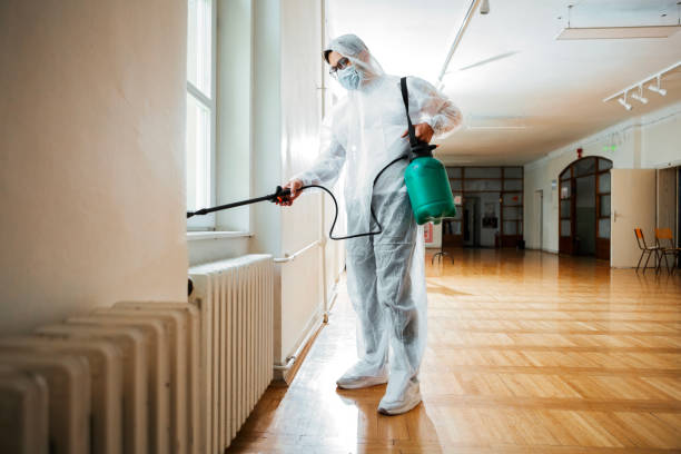 Best Insect Control  in Springfield, CO